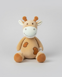 Assorted Teddy Bears