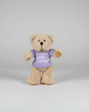 Assorted Teddy Bears