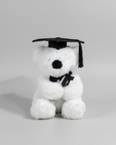 Assorted Teddy Bears