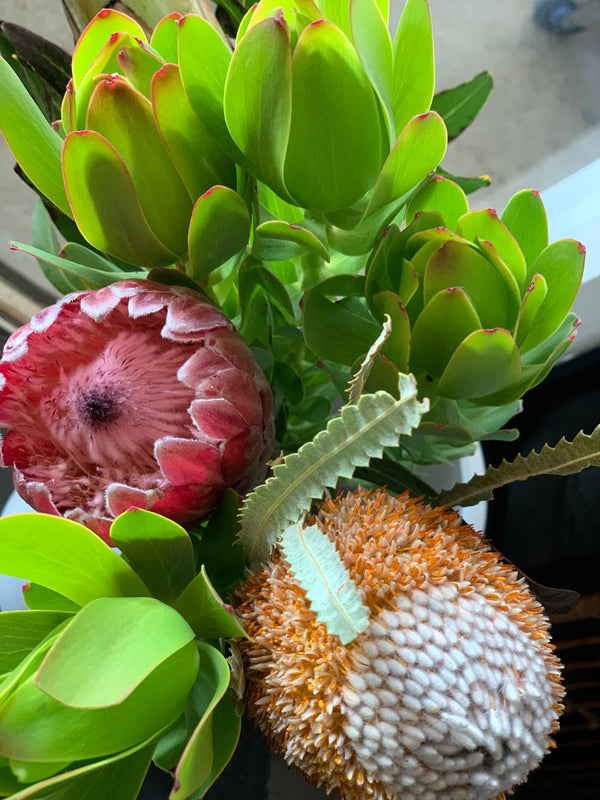 Florist Choice Native Arrangement