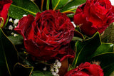FOREVER YOURS 6,12,18 or 24 Red Rose Arrangement
