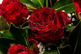 Beautifully Boxed Roses